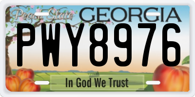 GA license plate PWY8976