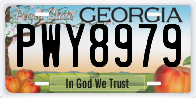 GA license plate PWY8979