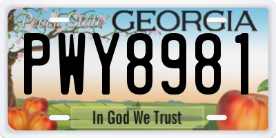GA license plate PWY8981