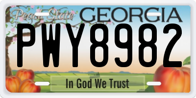 GA license plate PWY8982