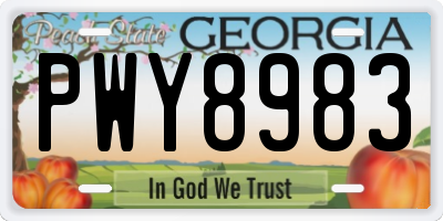 GA license plate PWY8983