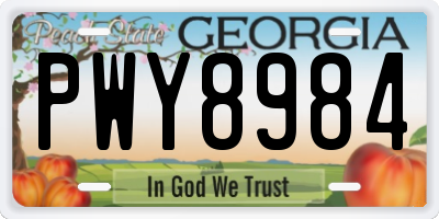GA license plate PWY8984