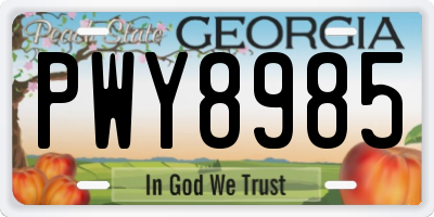 GA license plate PWY8985