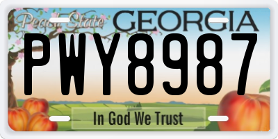 GA license plate PWY8987