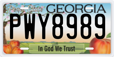 GA license plate PWY8989