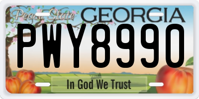 GA license plate PWY8990