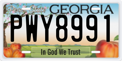 GA license plate PWY8991