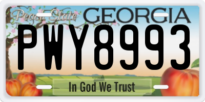 GA license plate PWY8993