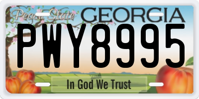GA license plate PWY8995
