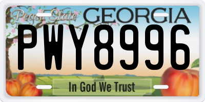 GA license plate PWY8996