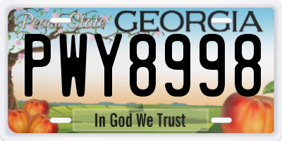 GA license plate PWY8998