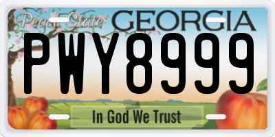GA license plate PWY8999