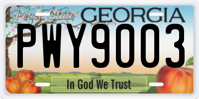 GA license plate PWY9003