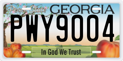 GA license plate PWY9004