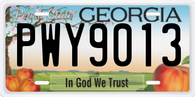 GA license plate PWY9013