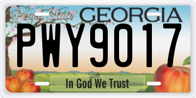 GA license plate PWY9017