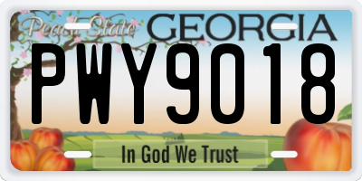 GA license plate PWY9018