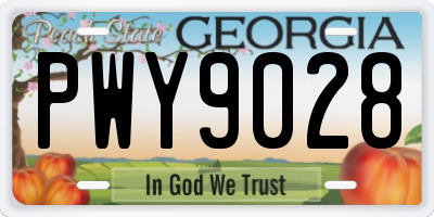 GA license plate PWY9028