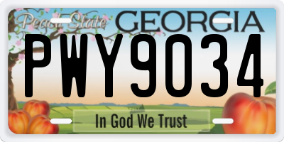 GA license plate PWY9034