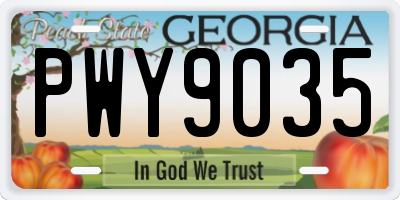GA license plate PWY9035