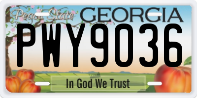 GA license plate PWY9036