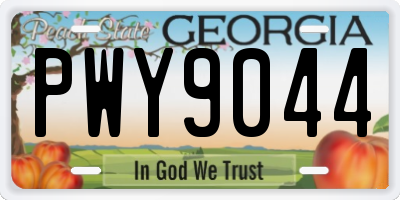 GA license plate PWY9044