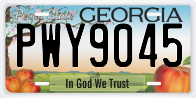GA license plate PWY9045