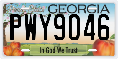 GA license plate PWY9046