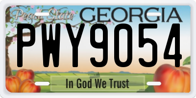 GA license plate PWY9054