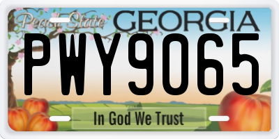 GA license plate PWY9065