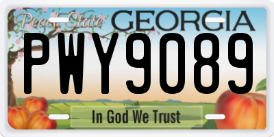 GA license plate PWY9089