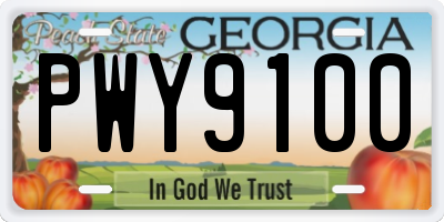 GA license plate PWY9100