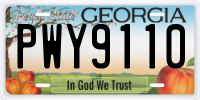 GA license plate PWY9110