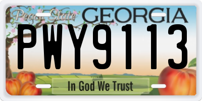 GA license plate PWY9113