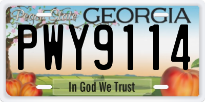 GA license plate PWY9114