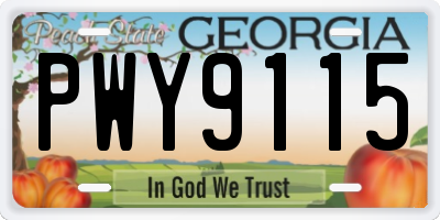 GA license plate PWY9115