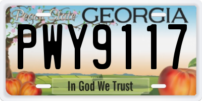 GA license plate PWY9117