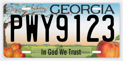 GA license plate PWY9123