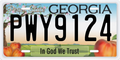 GA license plate PWY9124