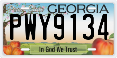GA license plate PWY9134