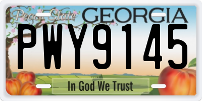 GA license plate PWY9145