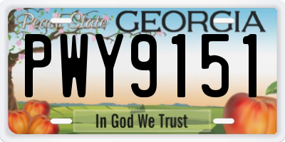 GA license plate PWY9151