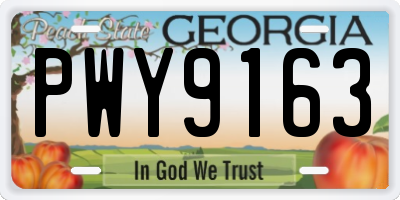GA license plate PWY9163