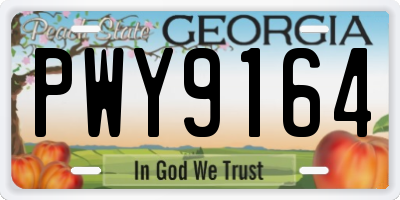 GA license plate PWY9164