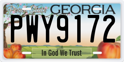 GA license plate PWY9172