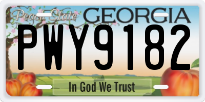 GA license plate PWY9182