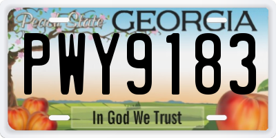 GA license plate PWY9183