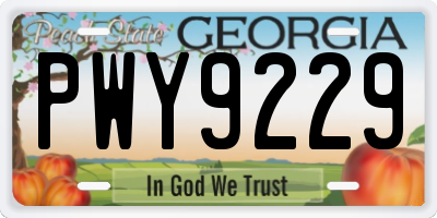 GA license plate PWY9229