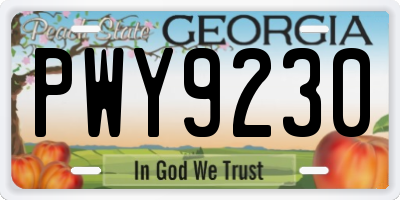 GA license plate PWY9230