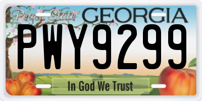 GA license plate PWY9299
